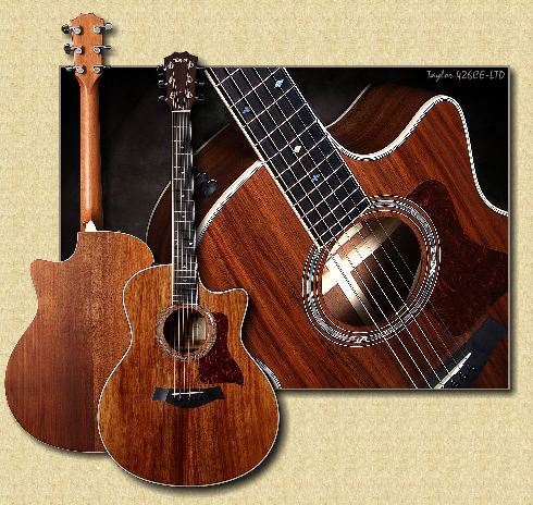 Taylor_426ce-ltds