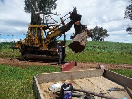 Blackwood%20Southern%20Midlands%203