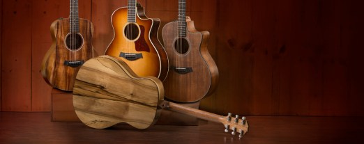 Taylor-fall-limited-2014