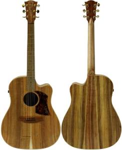 Cole Clark FL2EC-BLBL-AE