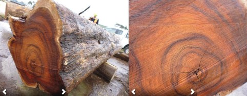 IST 0815 log23double