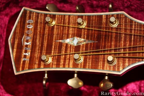 parkwood_pw_le061_headstock