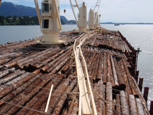 logs-on-ship-close-up.jpg