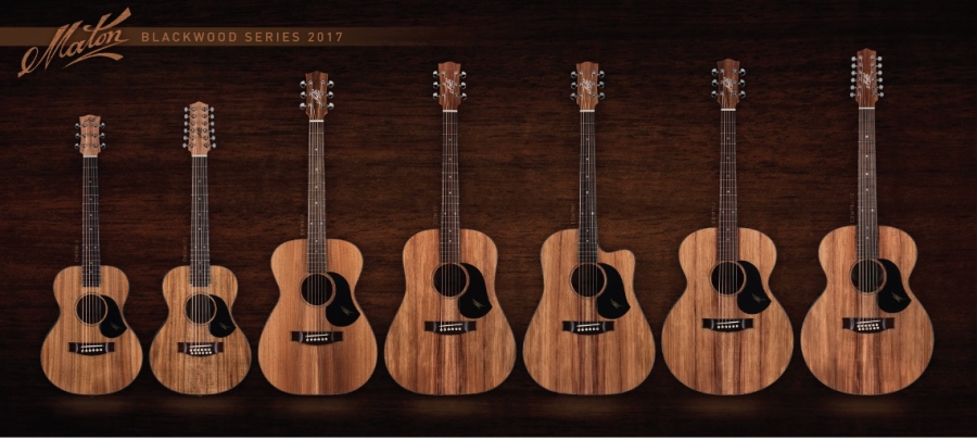 Maton_Blackwood_Line_up_900_405_s