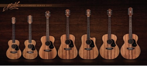 Maton_Blackwood_Line_up_900_405_s