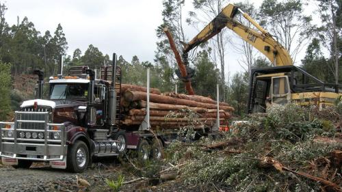 Logging
